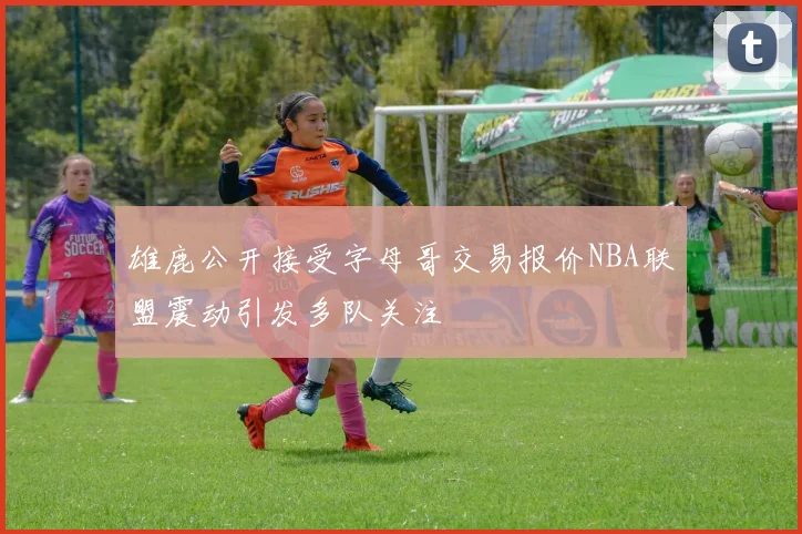 雄鹿公开接受字母哥交易报价NBA联盟震动引发多队关注