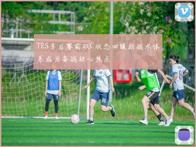 TES季后赛前双C状态回暖新战术体系成为备战核心焦点